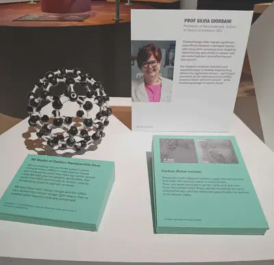 Our research led by Prof. Silvia Giordani featured at the exhibition. (On the left) 3D model of C60 (fullerene) molecule.