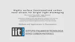  Highly surface functionalized carbon nano-onions for bright light bioimaging - IIT