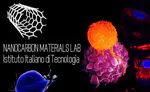 Nanocarbon Materials Lab - Istituto Italiano di Tecnologia