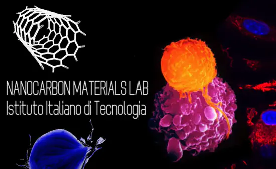 Nanocarbon Materials Lab - Istituto Italiano di Tecnologia