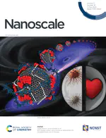 Front Cover: B/N-doped carbon nano-onions as nanocarriers for targeted breast cancer therapy.