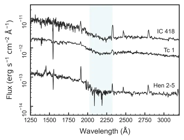 Roadmap on carbon molecular nanostructures in space