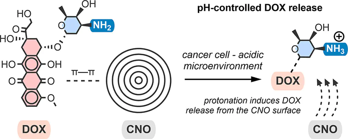 Surface Engineering of Carbon Nano-Onions for Folic Acid-Mediated Targeted Chemotherapeutic Delivery