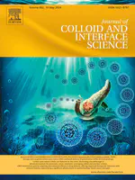 [OUTSIDE FRONT COVER] Enhancing pancreatic ductal adenocarcinoma (PDAC) therapy with targeted carbon nano-onion (CNO)-mediated delivery of gemcitabine (GEM)-derived prodrugs