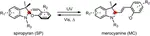 Spiropyran-Based Drug Delivery Systems