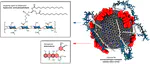 B/N-doped carbon nano-onions as nanocarriers for targeted breast cancer therapy