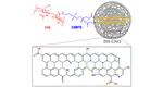 Supramolecular Functionalisation of B/N Co-Doped Carbon Nano-Onions for Novel Nanocarrier Systems