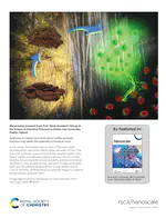 Inside Back Cover: Synthesis of carbon dots from spent coffee grounds: transforming waste into potential biomedical tools